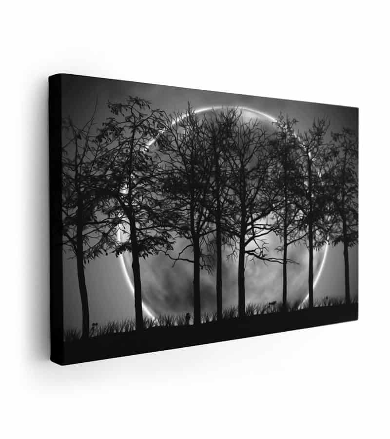 Sanatsal Muhteşem Dolunay Kanvas Tablo, Dolunay Ağaçlar Yağlı Boya Egzotik Dolunay Görüntüsü