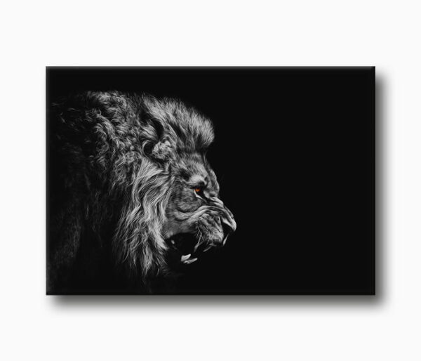 aslan kanvas tablo, kızgın aslan kanvas tablo