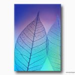 iskelet yaprak kanvas tablo , skeleton leaf on canvas table , kilis kanvas tablo , lavi tasarım