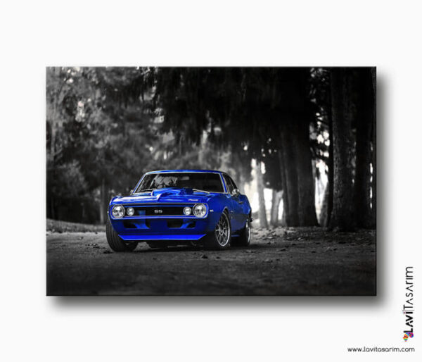 chevrolet camaro kanvas tablo, lavi tasarım kanvas tablo, istanbul kanvas tablo, lavitasarim