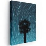 uzun pozlama yıldız kanvas tablo, Long Exposure Painting, Palmiye Ağacı, Palm Tree