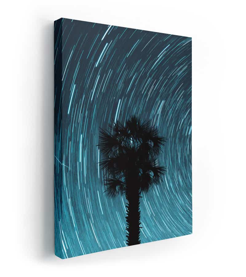 uzun pozlama yıldız kanvas tablo, Long Exposure Painting, Palmiye Ağacı, Palm Tree