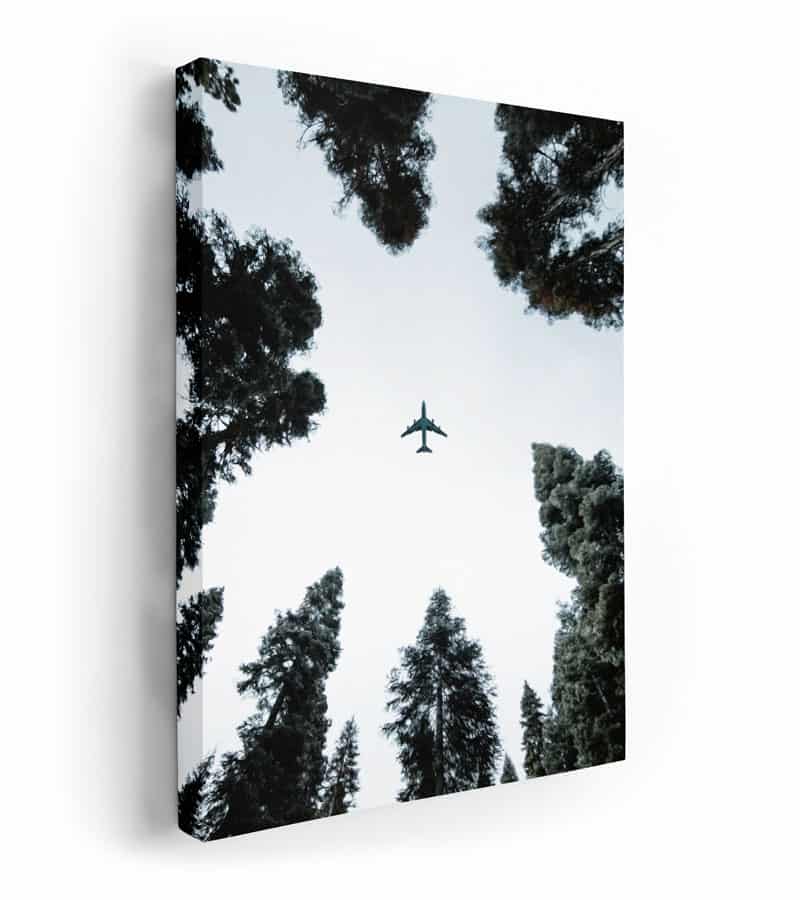 Uçak ve Uzun Ağaçlar Kanvas Tablo, manzara tabloları, orman tabloları, beykoz kanvas tablo